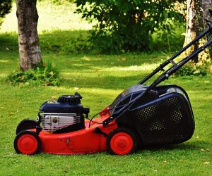lawn mower, gardening, mow, cut grass, grassy area, garden, nature, cut the lawn, technology, to cut, lawn, green, basket, meadow