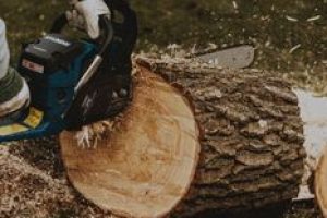 Anonymous male worker with electric chainsaw sawing dried wooden log on grassy terrain during work in suburb area of countryside